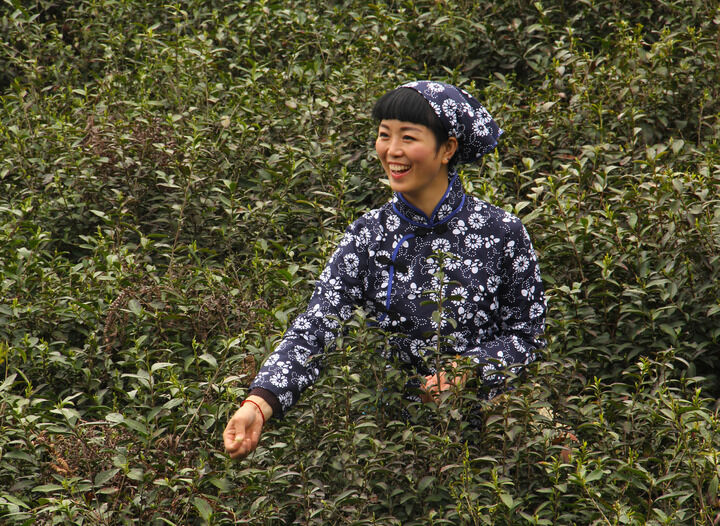 罪案心理